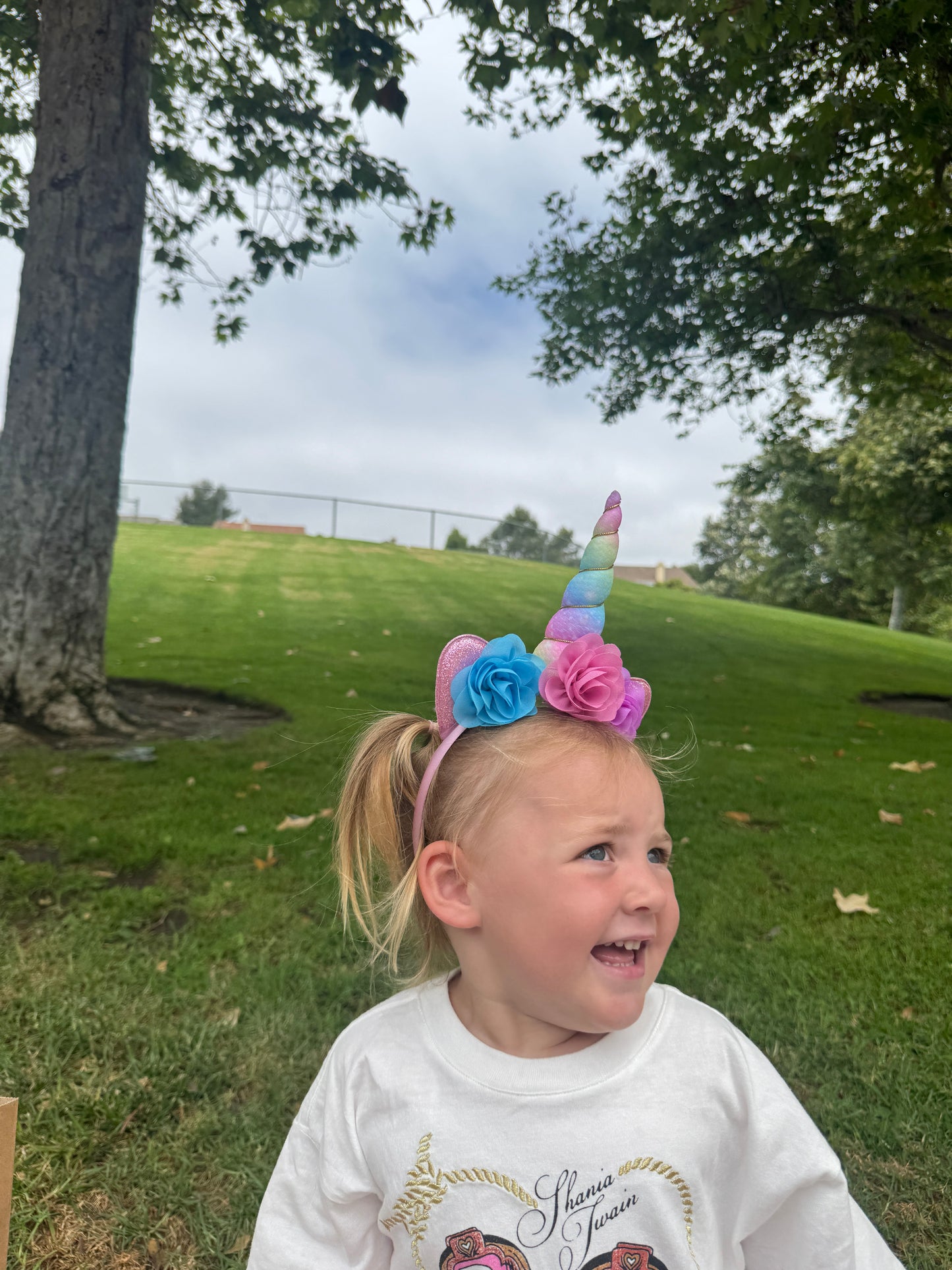 Pastel Rainbow Unicorn Headband for Girls – Rainbow Horn with Floral Accents