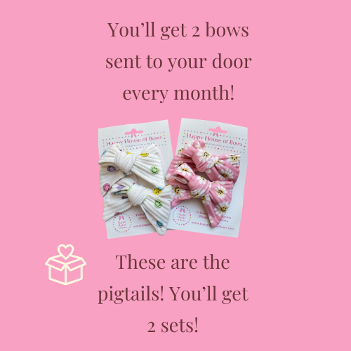 The Happy Bow Box - Pigtail Bow Box May